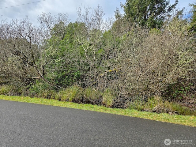 318 N Wynoochee Dr SW, Ocean Shores WA, 98569 land for sale