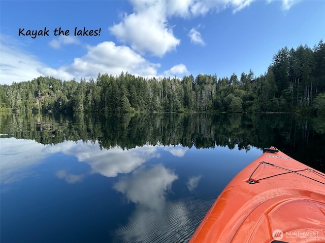 dock area featuring a water view and a forest view