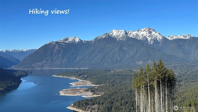 view of mountain feature featuring a water view and a view of trees