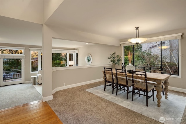 dining room with baseboards and wood finished floors