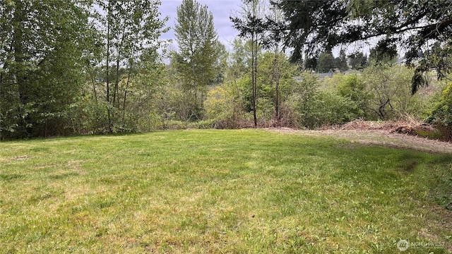 12535 SE Kent Kangley Rd, Kent, WA 98030 - view of yard