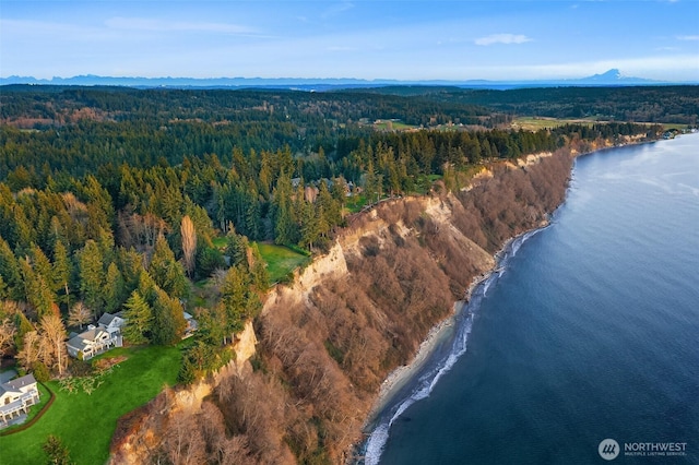 aerial view with a forest view and a water and mountain view