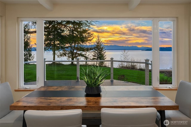 dining area with beam ceiling, a healthy amount of sunlight, and a water view