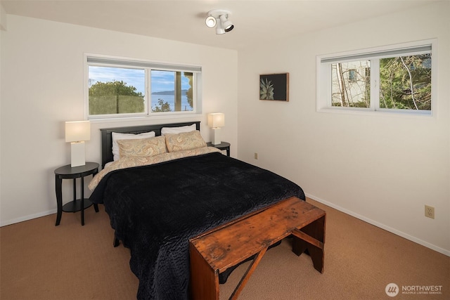 bedroom with carpet floors and baseboards