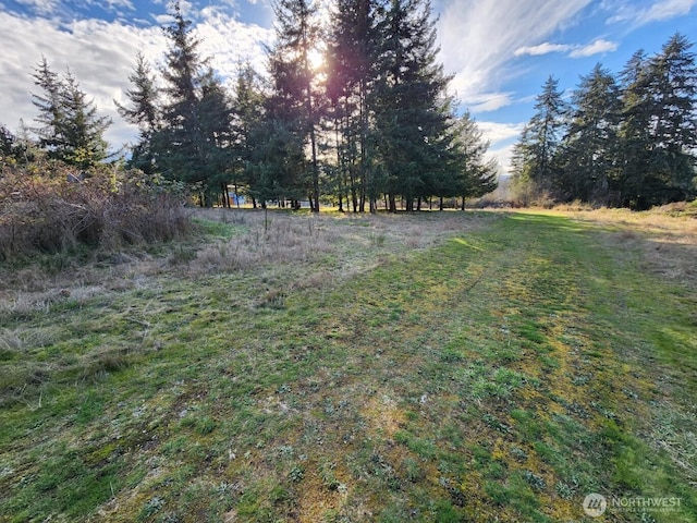 99999 Fairmount Ave, Port Angeles, WA 98363 - photo 3