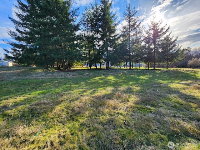 99999 Fairmount Ave, Port Angeles, WA 98363 - photo 4