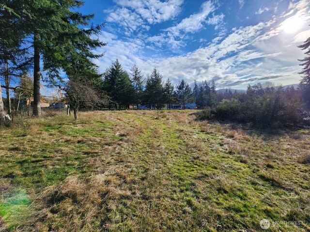99999 Fairmount Ave, Port Angeles, WA 98363 - photo 6