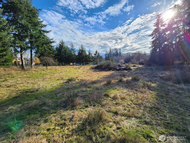 99999 Fairmount Ave, Port Angeles, WA 98363 - photo 7