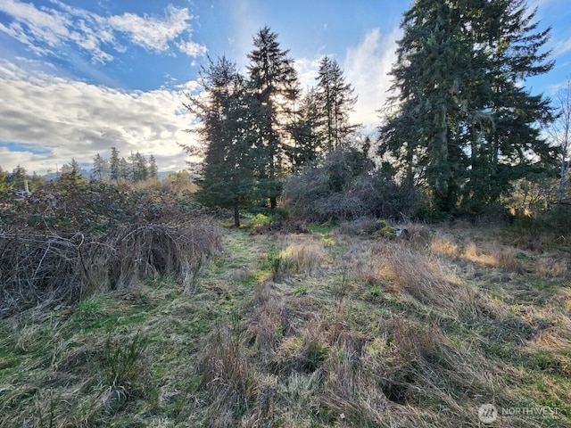99999 Fairmount Ave, Port Angeles, WA 98363 - photo 8