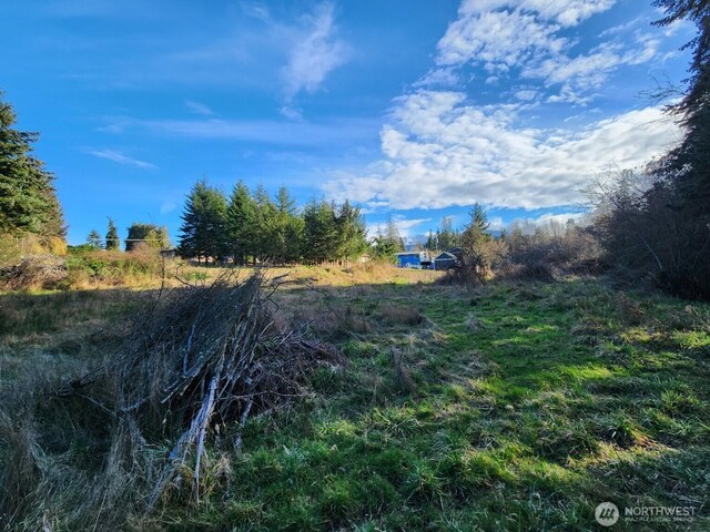 99999 Fairmount Ave, Port Angeles, WA 98363 - photo 9