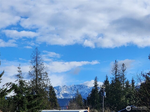 99999 Fairmount Ave, Port Angeles, WA 98363 - photo 10