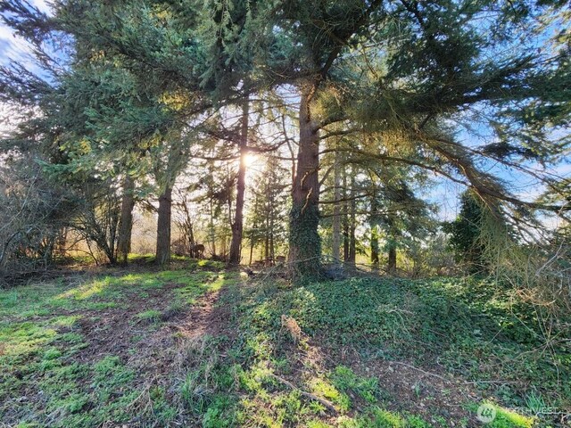 99999 Fairmount Ave, Port Angeles, WA 98363 - photo 11