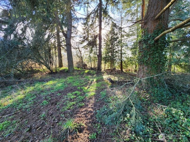 99999 Fairmount Ave, Port Angeles, WA 98363 - photo 12