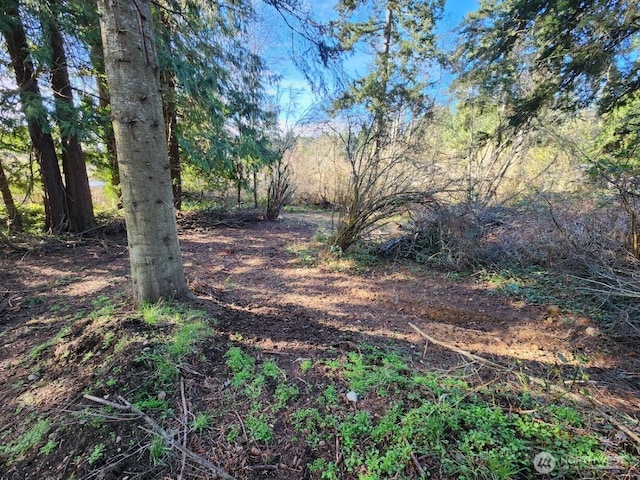 99999 Fairmount Ave, Port Angeles, WA 98363 - photo 14