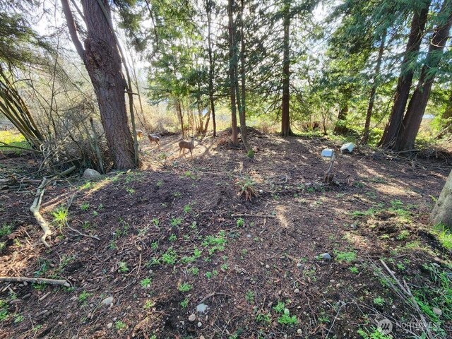 99999 Fairmount Ave, Port Angeles, WA 98363 - photo 15