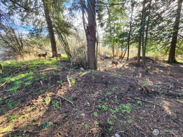 99999 Fairmount Ave, Port Angeles, WA 98363 - photo 16