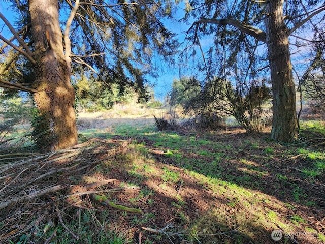 99999 Fairmount Ave, Port Angeles, WA 98363 - photo 17