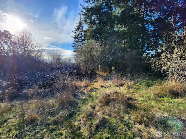 99999 Fairmount Ave, Port Angeles, WA 98363 - photo 18
