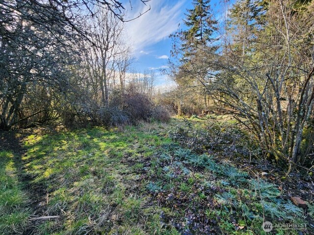 99999 Fairmount Ave, Port Angeles, WA 98363 - photo 19