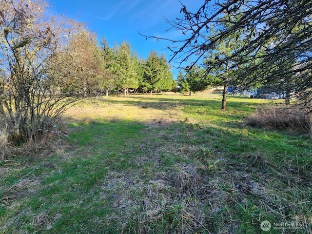 99999 Fairmount Ave, Port Angeles, WA 98363 - photo 20