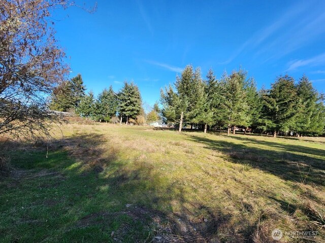 99999 Fairmount Ave, Port Angeles, WA 98363 - photo 22