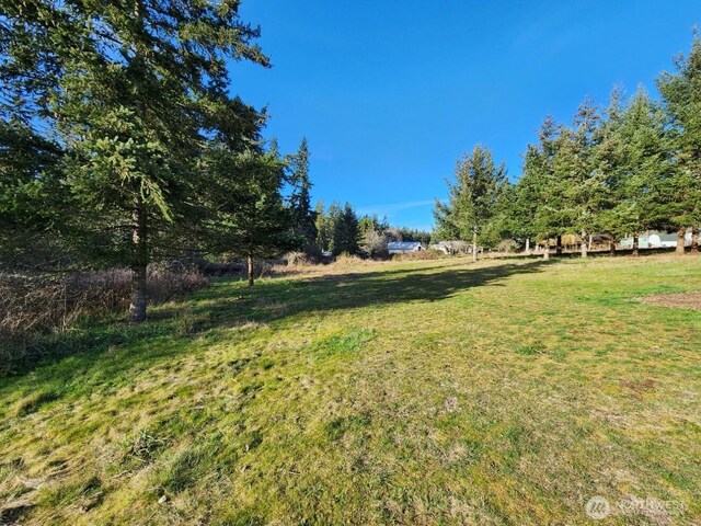 99999 Fairmount Ave, Port Angeles, WA 98363 - photo 23