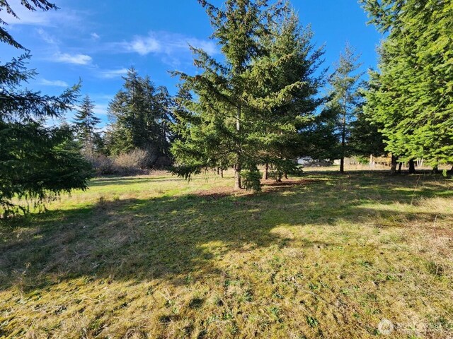 99999 Fairmount Ave, Port Angeles, WA 98363 - photo 25