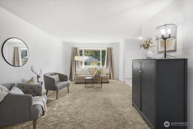 sitting room featuring carpet, vaulted ceiling, and a textured ceiling