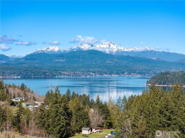 water view featuring a forest view and a mountain view