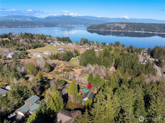 birds eye view of property with a water and mountain view and a view of trees