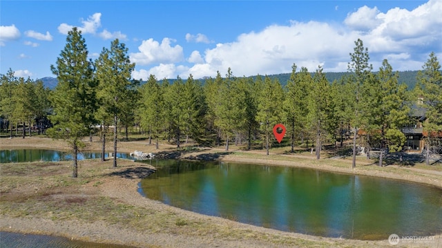 11 Gold Leaf Ln, Cle Elum WA, 98922 land for sale