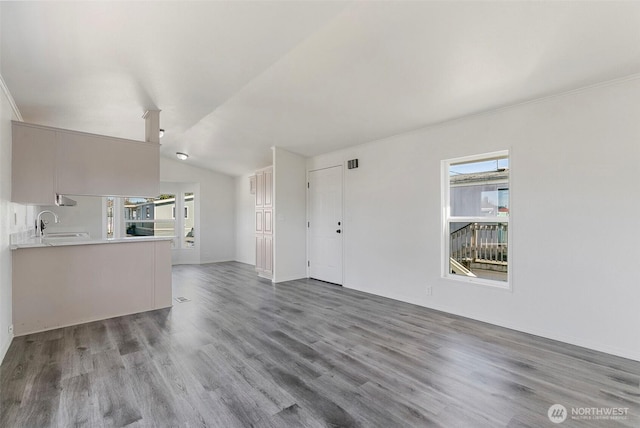 unfurnished living room with a sink, wood finished floors, and vaulted ceiling