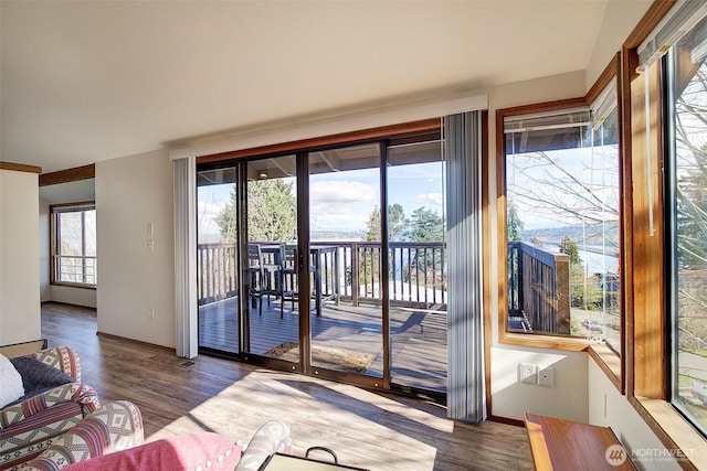 entryway with baseboards, a wealth of natural light, and wood finished floors