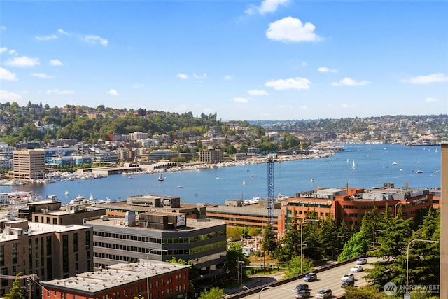 water view with a city view