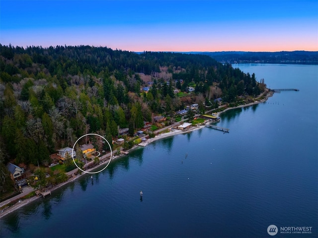 drone / aerial view with a water view and a forest view