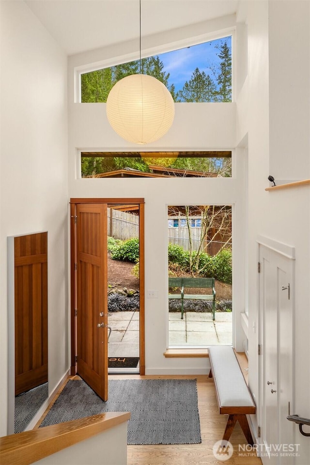 foyer entrance featuring baseboards, plenty of natural light, a high ceiling, and wood finished floors