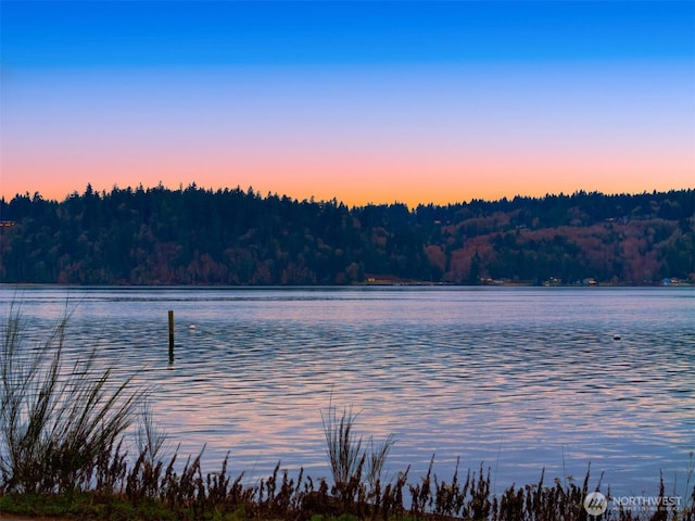 water view featuring a forest view