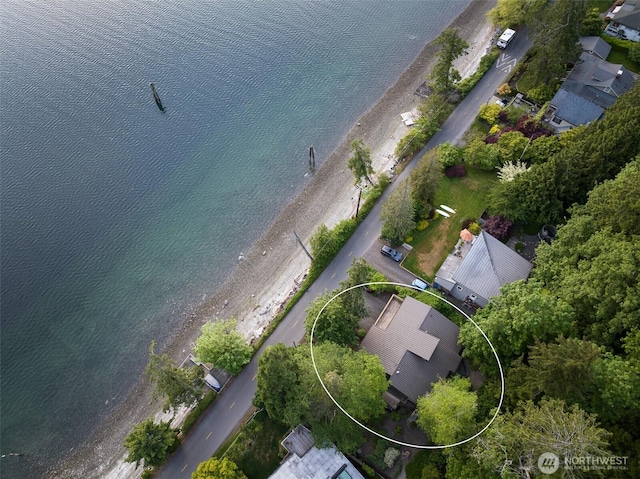 bird's eye view with a water view