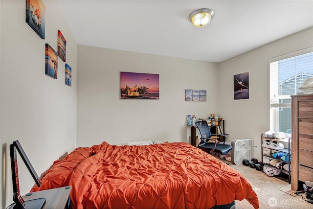 view of carpeted bedroom