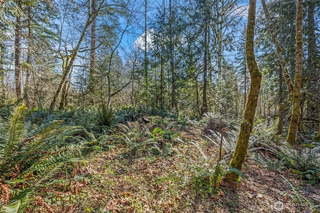 view of local wilderness with a wooded view