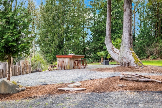 view of yard with outdoor dry bar