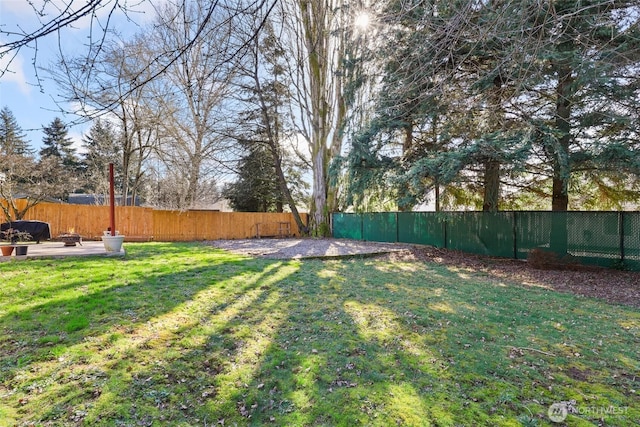 view of yard with a patio and a fenced backyard