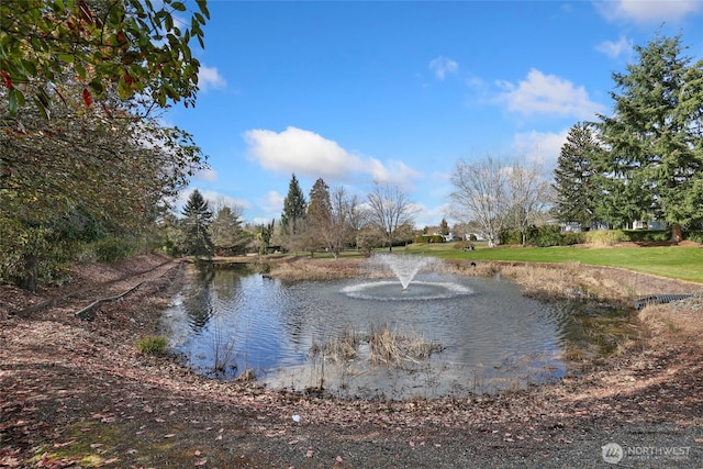 property view of water