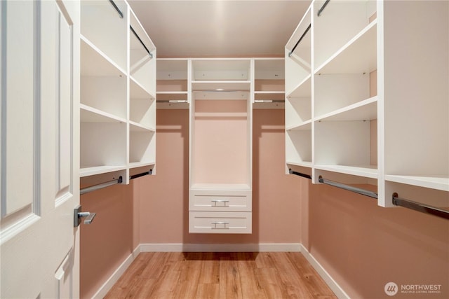 spacious closet featuring light wood-type flooring