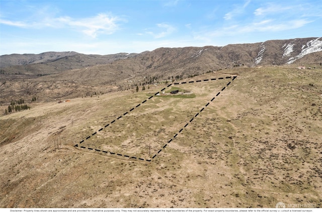 74 Sawtooth View Rd, Pateros, WA 98846 - property view of mountains