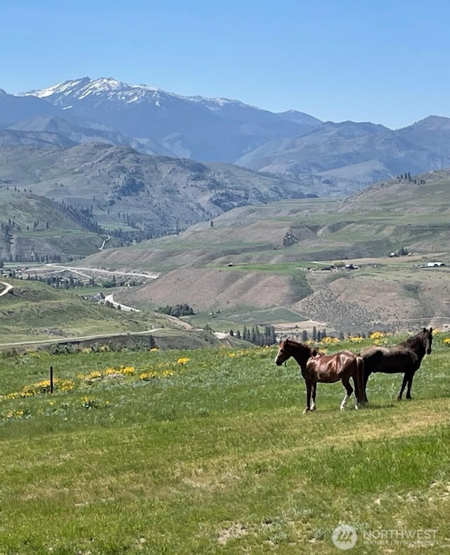 74 Sawtooth View Rd, Pateros, WA 98846 - property view of mountains featuring a rural view