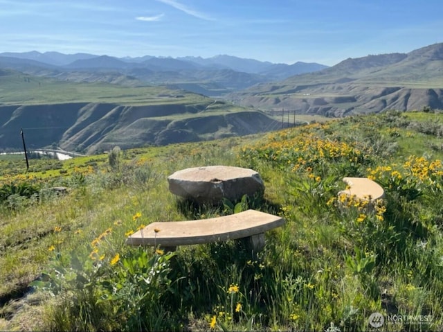 74 Sawtooth View Rd, Pateros, WA 98846 - property view of mountains
