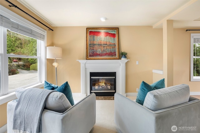 carpeted living room with a fireplace with flush hearth