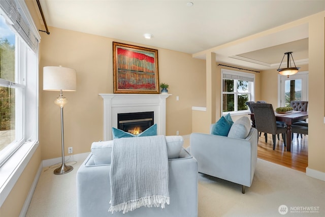 living room with light carpet, a glass covered fireplace, a raised ceiling, and baseboards