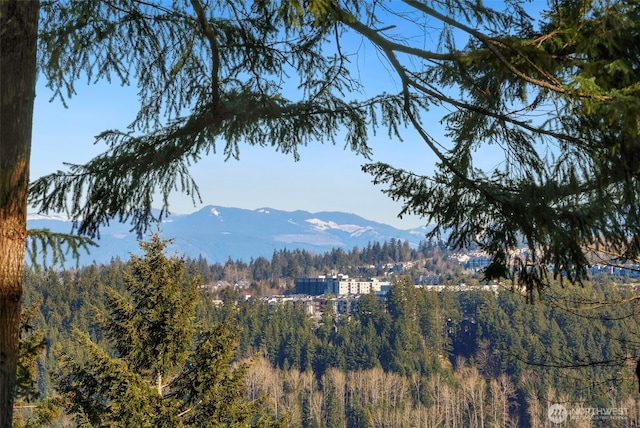 property view of mountains with a forest view